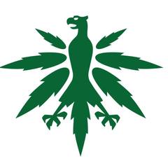 DHV_Logo_c342a361-e07b-4b80-ad4b-4ac682dc29c3_240x240